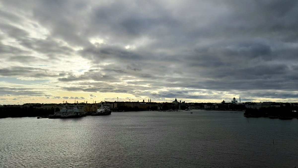 Sarah Schiffling tweet media