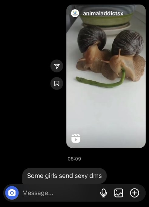 But snails eating is obviously more important lol https://t.co/9pB92FqMEX