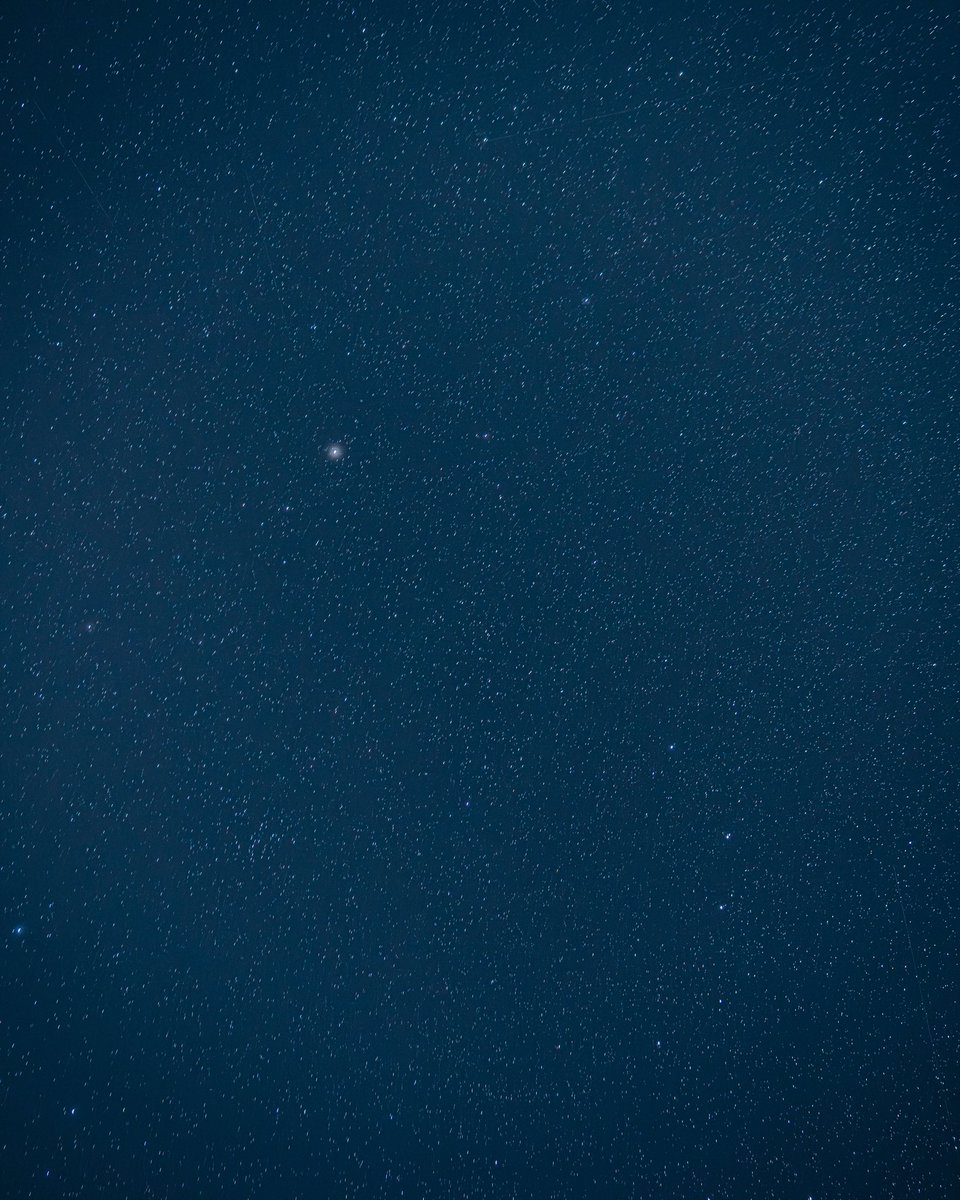 Drew Shaffer tweet media