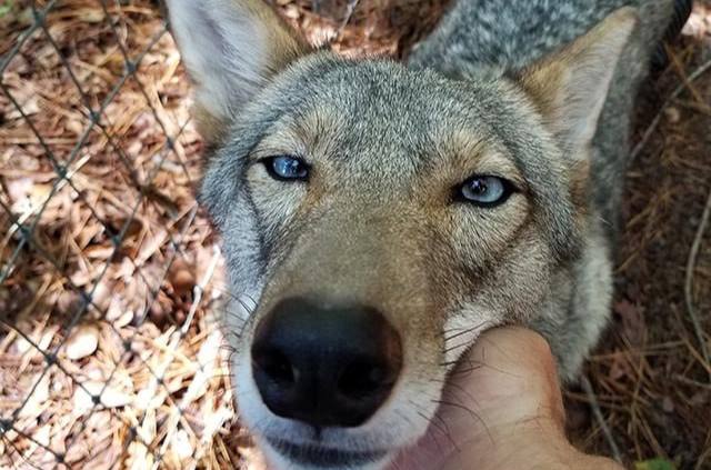HourlyYote's tweet image. saw you were working a little too much, how about we take a break and play outside, drink some pure corn syrup, and relax