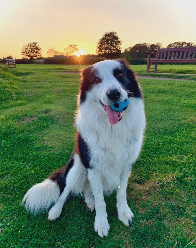 I hope you all enjoy this new and beautiful month of October 🤍