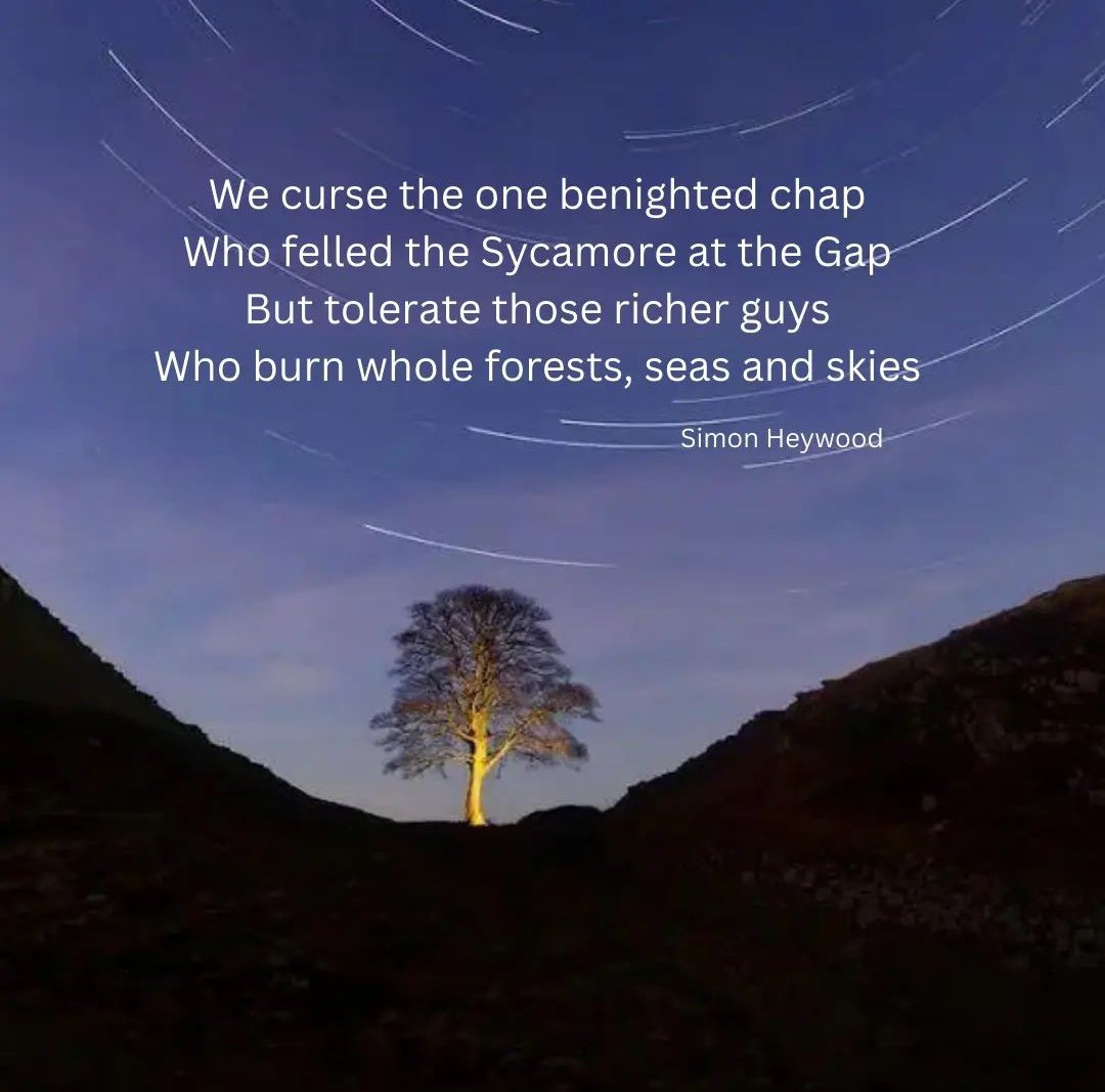 I found this poem my Simon Heywood quite thought provoking.

I was saddened to hear that it had been bizzarely chopped down. But ancient trees are felled all the time so why are we so upset about this one when we should be angry about all of them ?

What's your point of view?