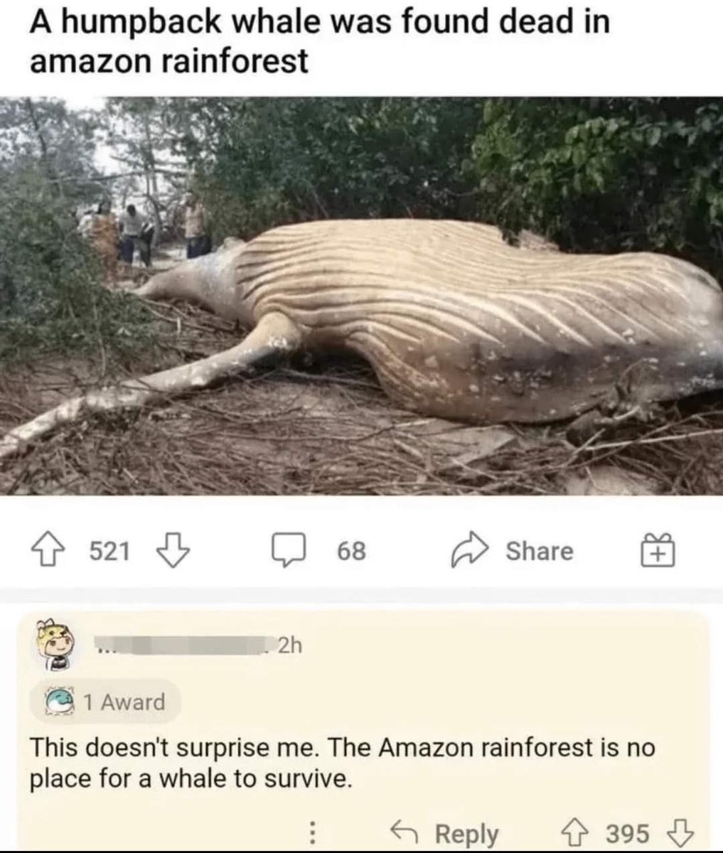 Satan (@s8n) on Twitter photo 