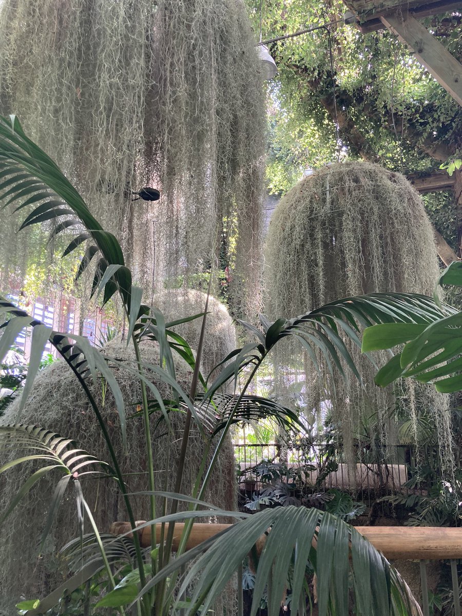 Moins fleuris mais toujours magiques les jardins version résilience du festival de <a href="/Chaumont_Loire/">Domaine de Chaumont-sur-Loire</a>