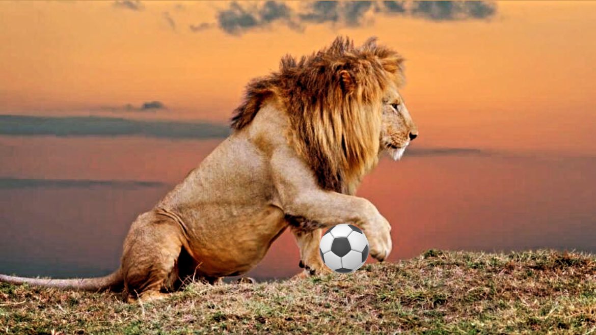 FCC 🟰Heart of a Lion 🦁 🧡💙 #heartofalion #allforcincy #mls