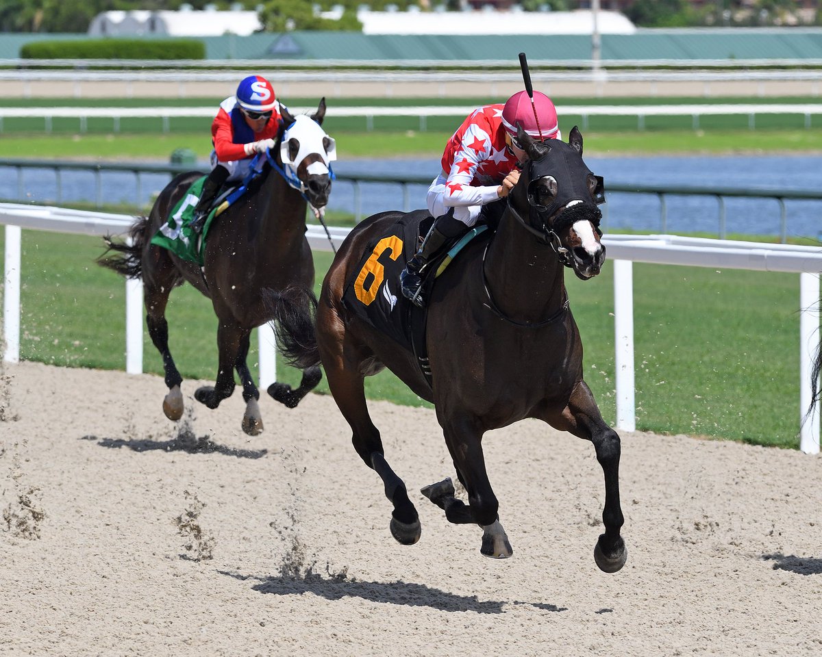 Gulfstream Park (@gulfstreampark) on Twitter photo Anthony's Rocket surges late to take the first race, <a href="/LeojockeyReyes/">Leonel Reyes</a> up for trainer <a href="/AckerStables/">Scott D. Acker Stables</a>. #GulfstreamPark #SunshineMeet Anthony's Rocket surges late to take the first race, <a href="/LeojockeyReyes/">Leonel Reyes</a> up for trainer <a href="/AckerStables/">Scott D. Acker Stables</a>. #GulfstreamPark #SunshineMeet