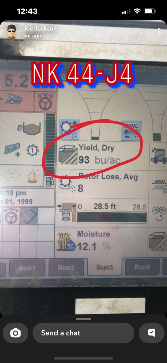 catdadd76769738's tweet image. ⁦@NKSeeds⁩ still going strong.   If you haven’t gotten any of these bad boys you missing out.   NK44-J4XFS