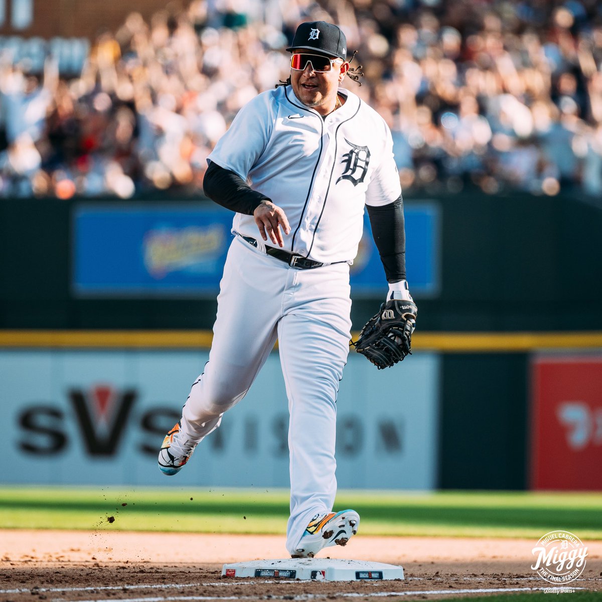 tigers tweet picture