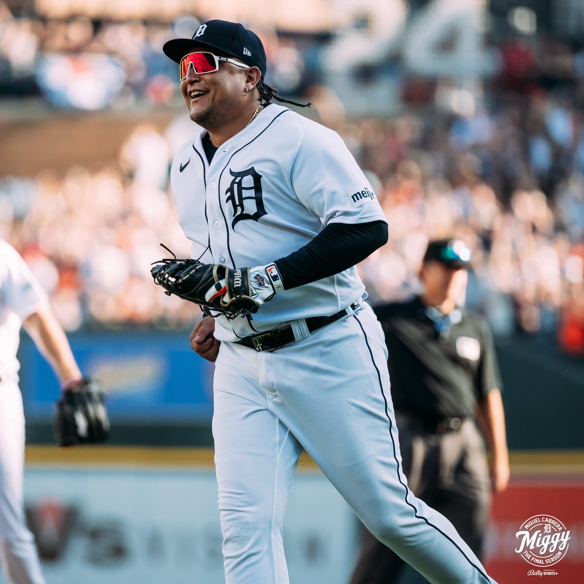 tigers tweet picture