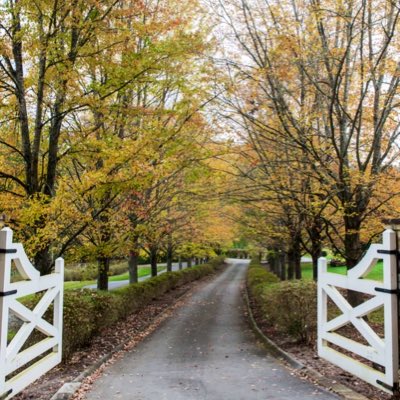 JMSteed's tweet image. #NewProfilePic #DigitalDetox