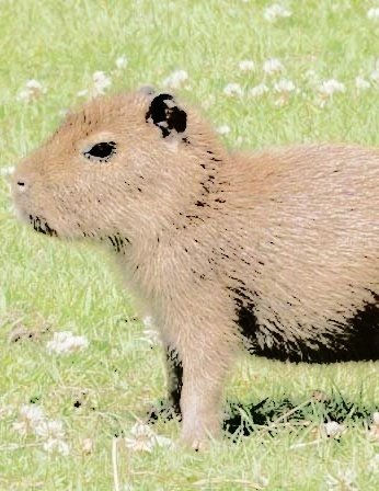 alvinsssh's tweet image. ㅤ                                    

ㅤㅤㅤㅤ            ⤿დ.         ℋıs lıvelч presence αnd ınfectıous smıle never fαıl to brıghten the αtmosphere, mαkıng hım α cherıshed rαч of sunshıne for  everчone.         ~ ♡.