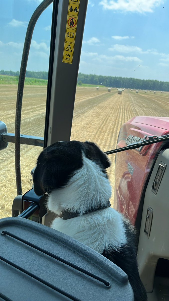 Heather Peters tweet media