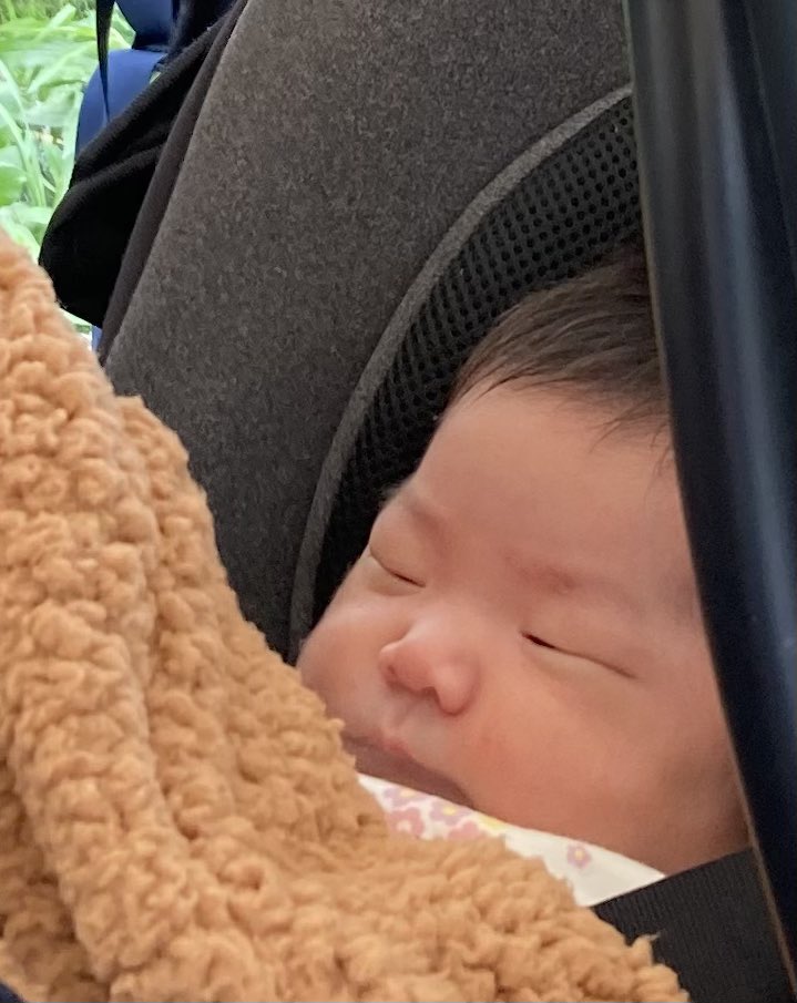 ka10no's tweet photo. 赤ちゃんや小さなお子さまをみると可愛くて微笑みますね。この子たちは猛烈な勢いで細胞分裂して、今も細胞の増殖が音が聞こえるほど増えているに違いない。姿かたちも可愛いけど、そのエネルギーが私たちにも降り注ぐから幸せにしてくれのだろう。 https://t.co/KeDtYZvngx