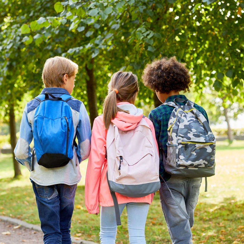 LambtonPublicHealth tweet media