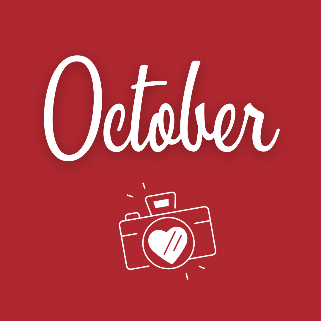TraciPhotos's tweet photo. Welcome fall! 

(Well, as much of fall as we get in South Florida). 

October is for homecoming. It’s for kings and queens and formal portraits by the beach. It’s for fourth quarters and halftime festivities. 

October is for senior night and volleyball district championships. https://t.co/pTimaXFhLD