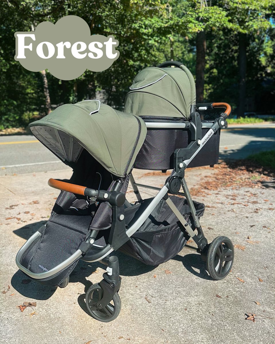 Mockingbird tweet media