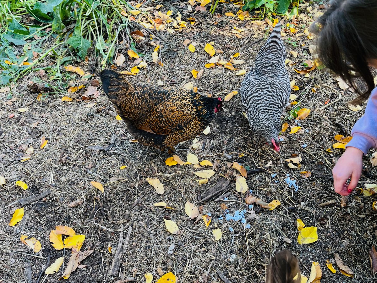 Earth's General - Waste Reduced Store tweet media