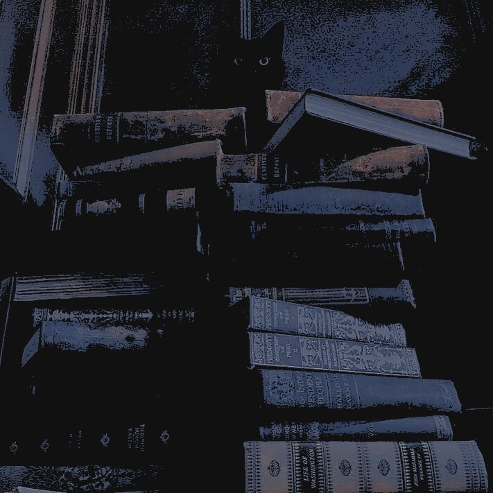 𝓋𝙴𝚁𝙸𝚃𝚈. tweet media