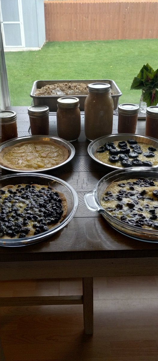 Pete Morris tweet media