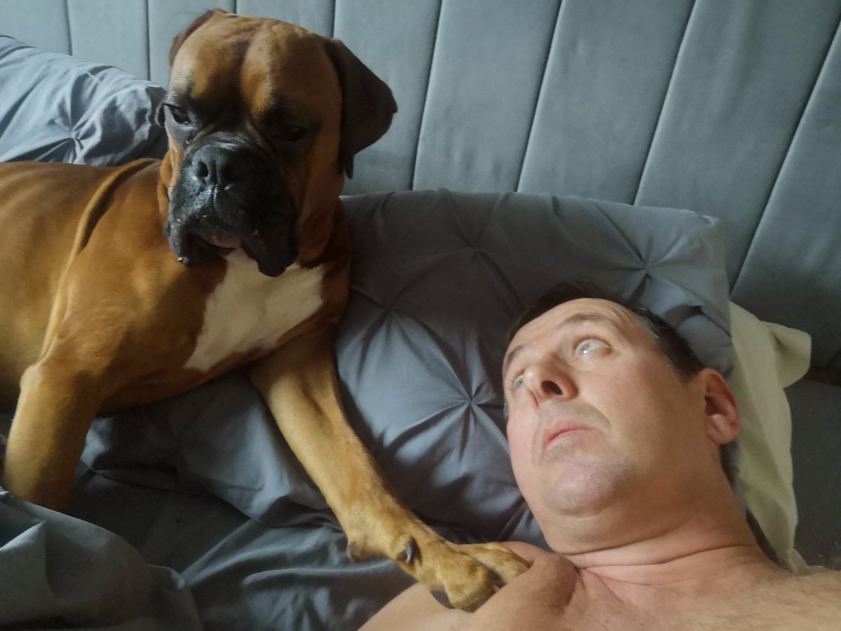 NoNameDog05's tweet photo. Dad wake up
I think I heard something downstairs
Go check it out
#DogsofTwittter #boxerdog https://t.co/wlAEPbDDhy