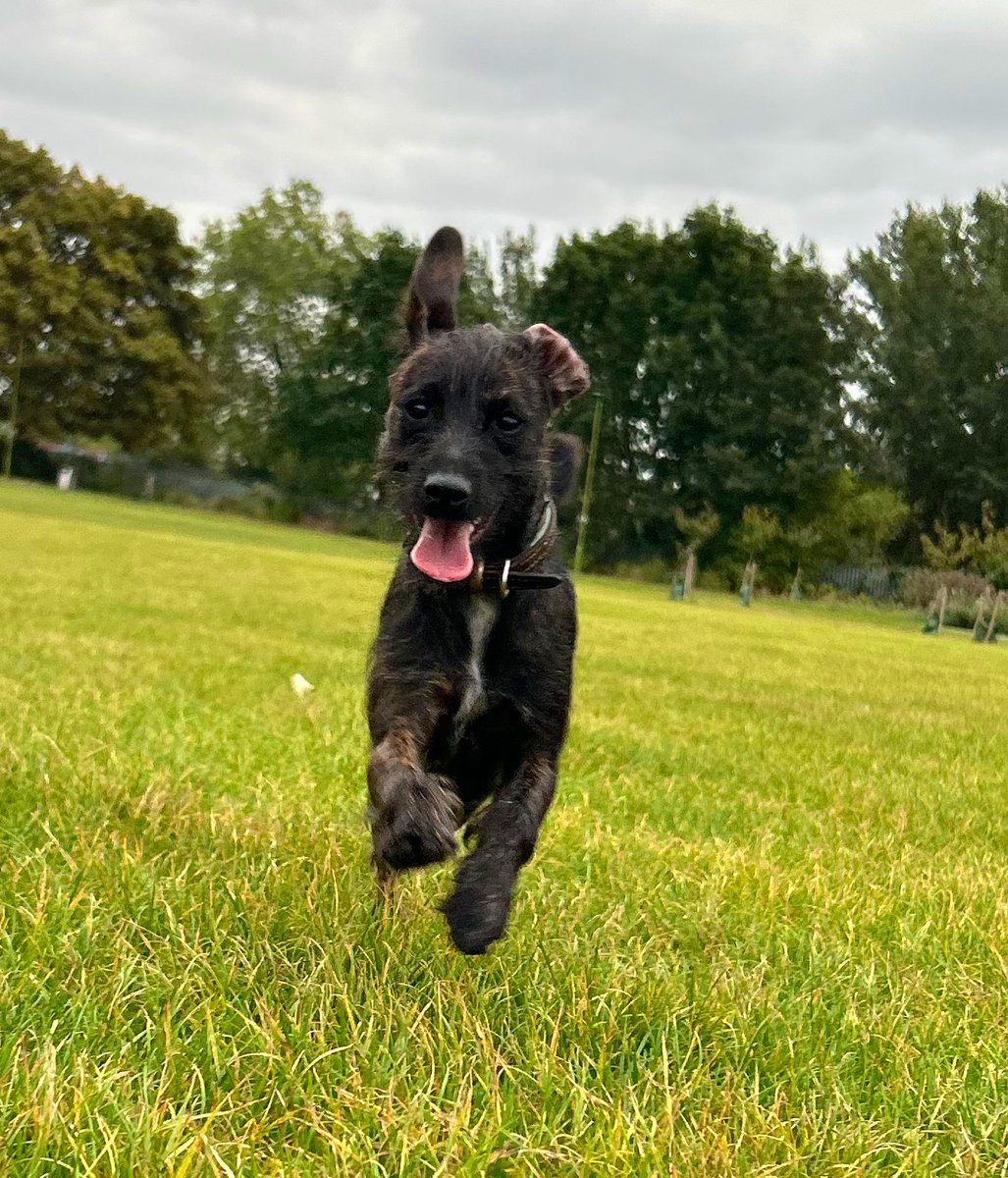 sara cox💙 tweet media