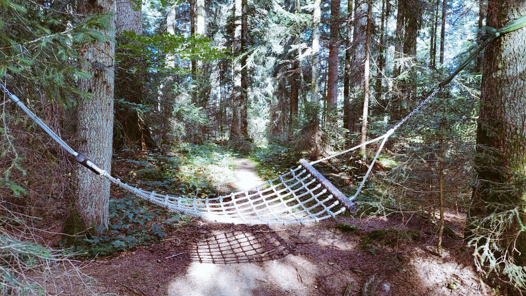 StPi_gors's tweet photo. Wanderung #Sulzberg #Grenzwanderweg #Österreich 10 km bei Kaiserwetter. #Urlaub #Herbst #wandern https://t.co/DbgH2AJvPm