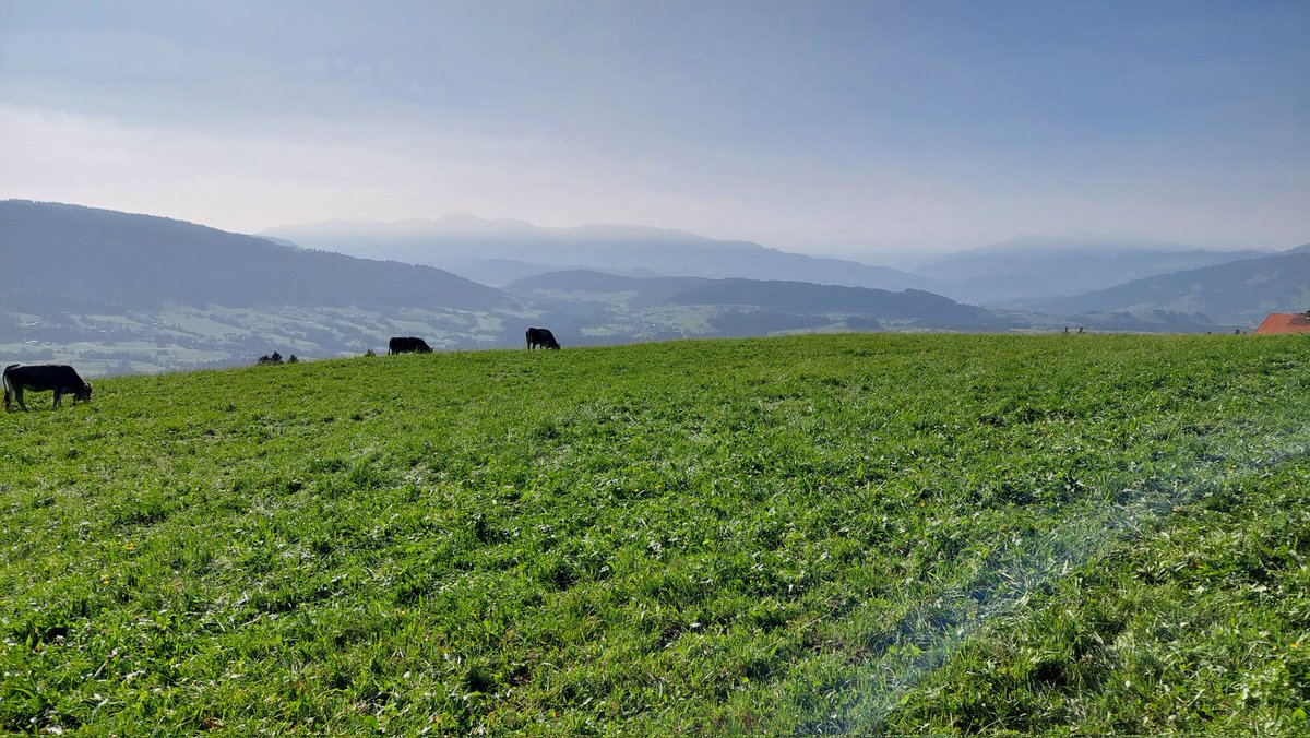 StPi_gors's tweet photo. Wanderung #Sulzberg #Grenzwanderweg #Österreich 10 km bei Kaiserwetter. #Urlaub #Herbst #wandern https://t.co/DbgH2AJvPm