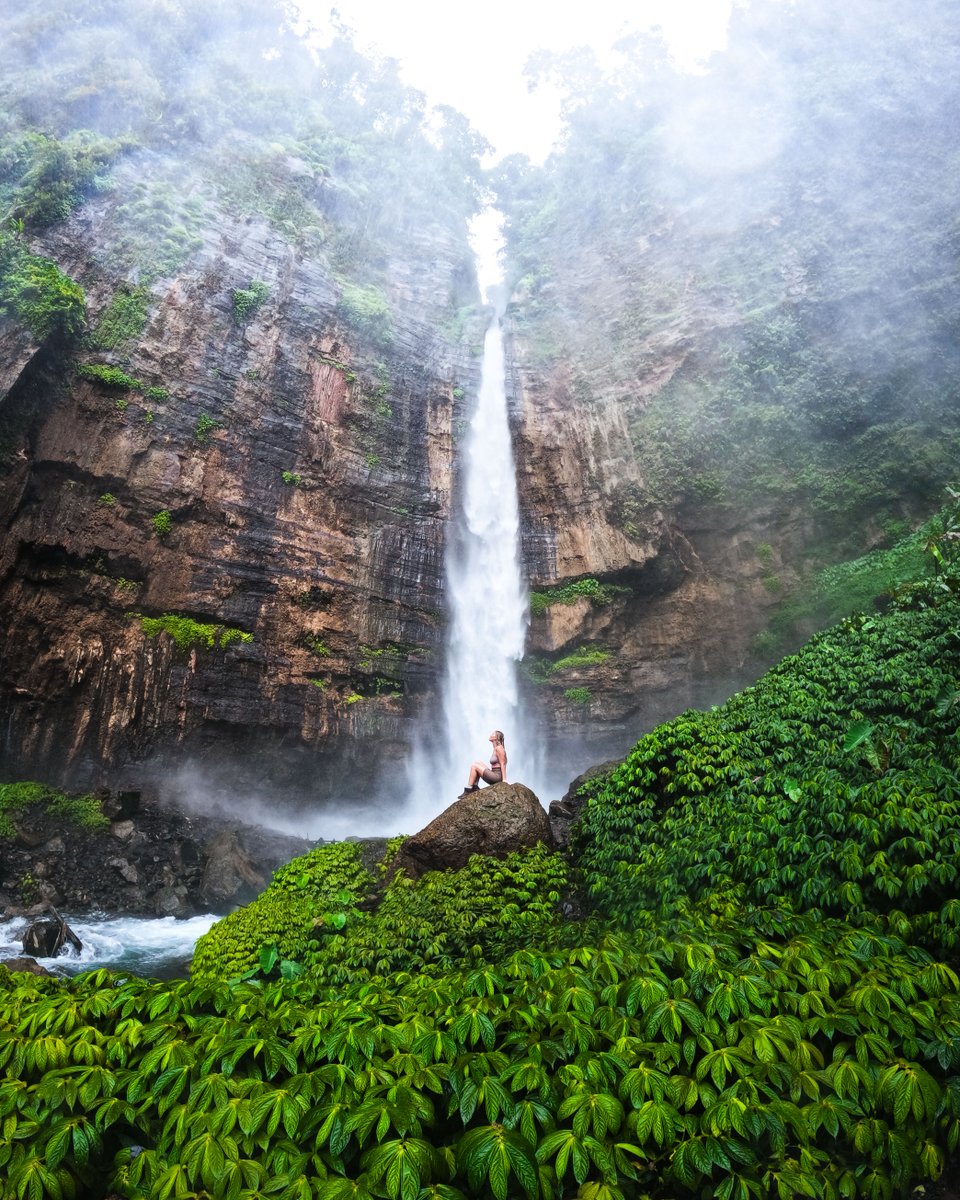 Photo of the Day: Soak it all in 💦🌿 Snapped by #GoProAwards recipient Simone Juul Borring. Every Photo of the Day feature comes with a $250 payment. GoPro Subscribers earn 2x the cash 👉 GoPro.com/Awards #GoPro #GoProTravel #Travel #TravelPhotography #Waterfall #Indo