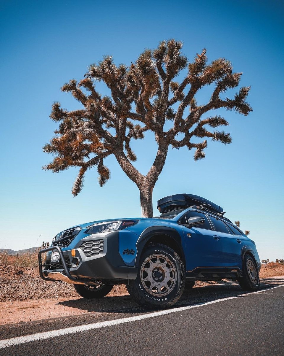 methodracewheel's tweet photo. This @subaru_usa Outback is π₯π₯. Thoughts? #MRW502
https://t.co/6ahkp0zVNe
ποΈπΈ: @wilder_feelz
#MethodRaceWheels #MRW #Method #OffroadWheels #Wheels #Offroad #LighterStrongerFaster #Subaru #SubaruOutback #SubieSunday https://t.co/Nk5vrbRWcx