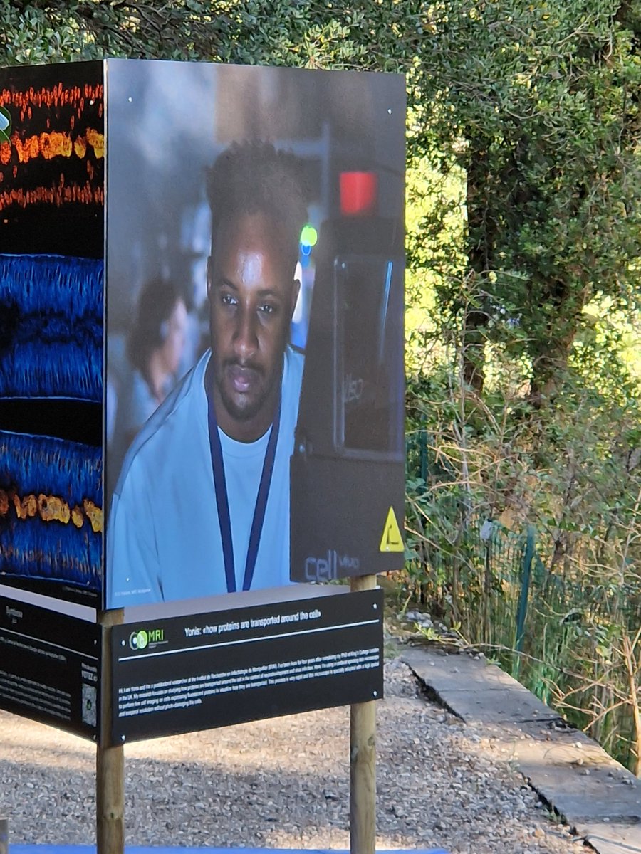 The lab (@IRIM_life) is well-represented at the @MRI_Montpellier exhibition in the Jardin des Plantes in the center of Montpellier. An amazing microscopy pic of neurons in an organoid by @DianaBrychka (left) & @bare_yonis during microscopy acquisition (right). @CNRS_OccitaniE
