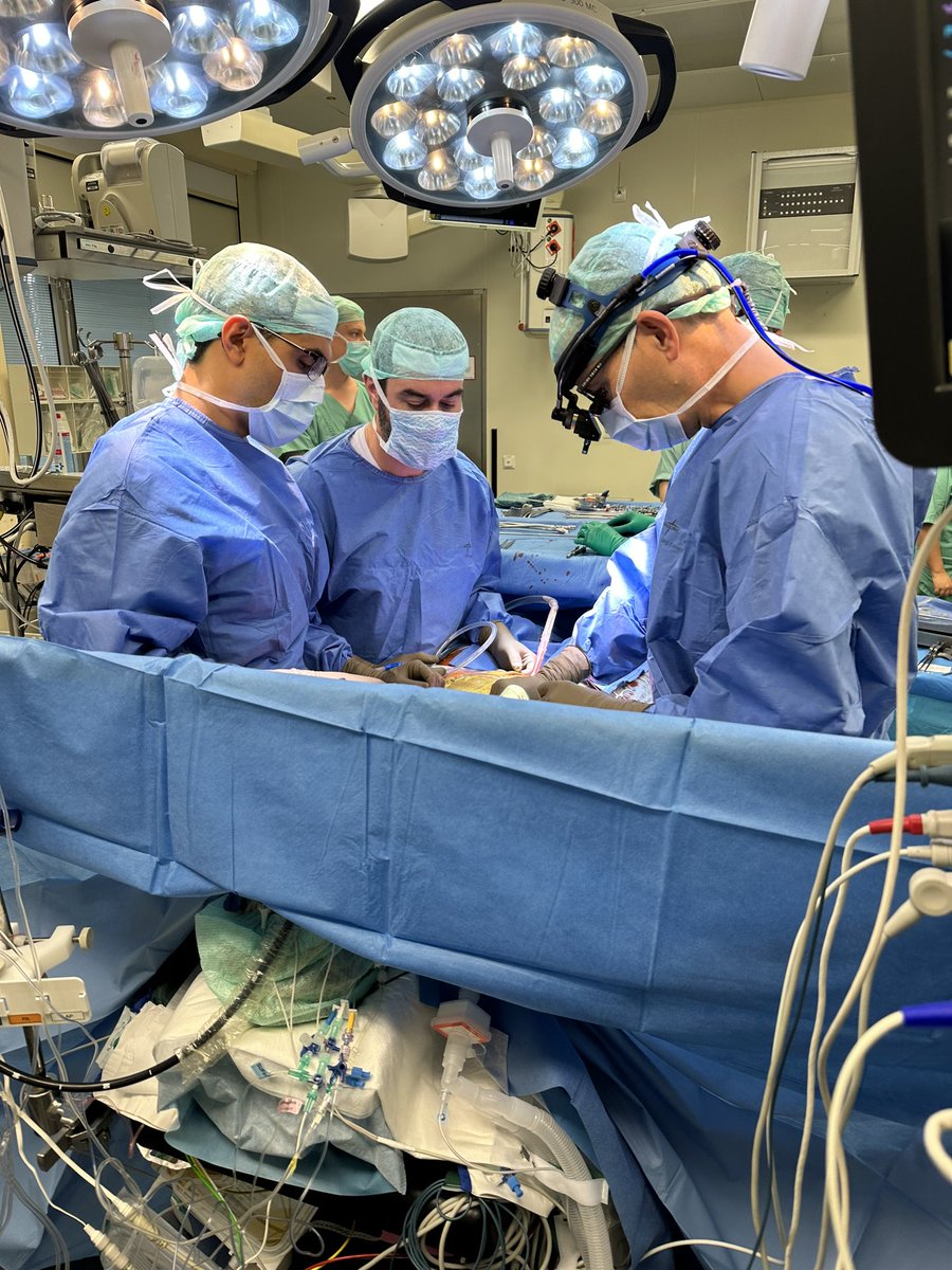 Vlander Gomes tweet media