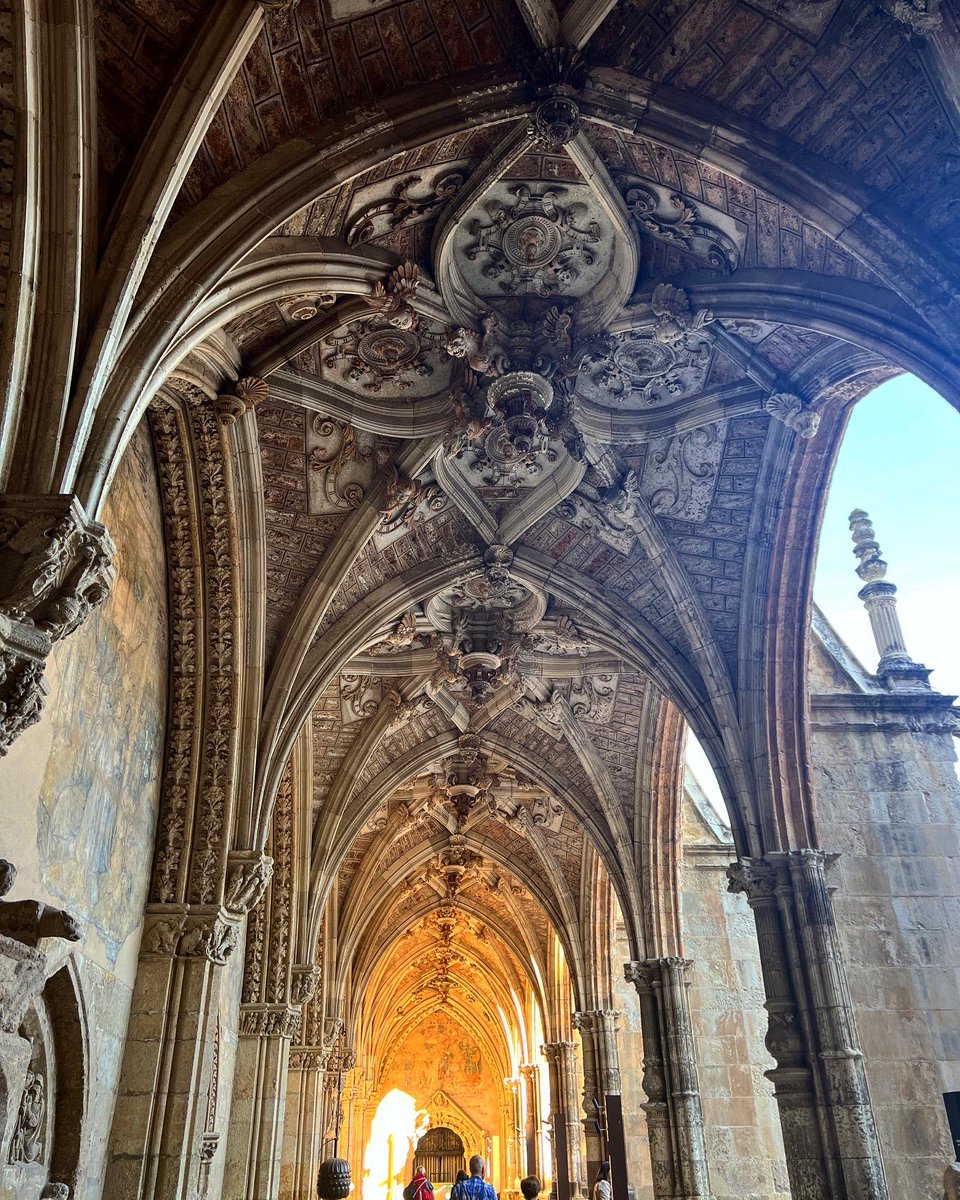 LeonAyto's tweet photo. Y, como hoy no podía ser de otro modo, nuestra imagen de #BuenasNoches🌍 desde #Leonesp . Y hoy, como no sabemos con cuál quedarnos... os dejamos estampas de una jornada única 
#Felizdescanso💫 https://t.co/cWtOzppfa1