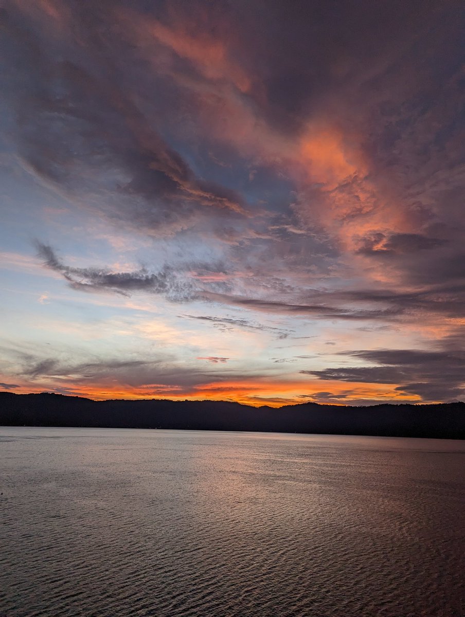 Oscar Rodriguez tweet media