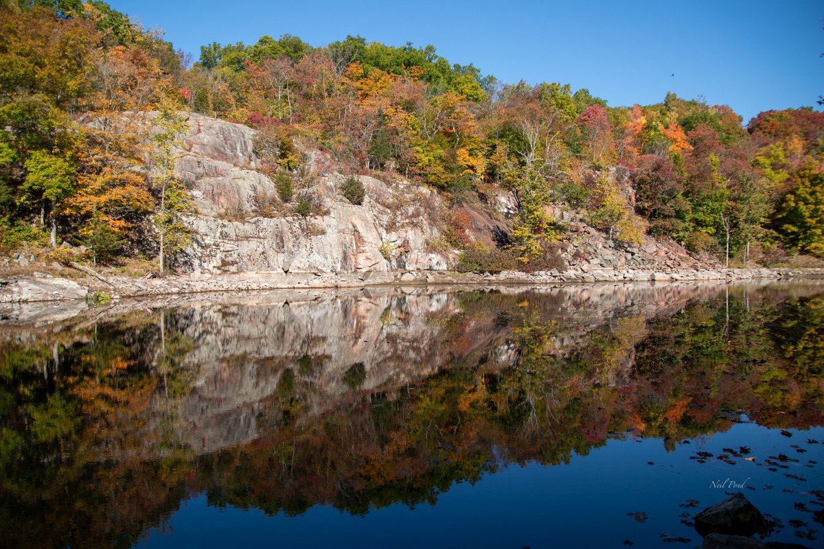 Ponder41's tweet photo. So the black and white picture is a flipped version of the colour picture. Will be printing for the wall. #fallcolors #leaves #reflections https://t.co/yEJDPFSUT7