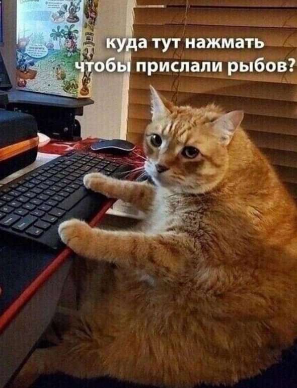 Piol (@pritulatan) on Twitter photo 