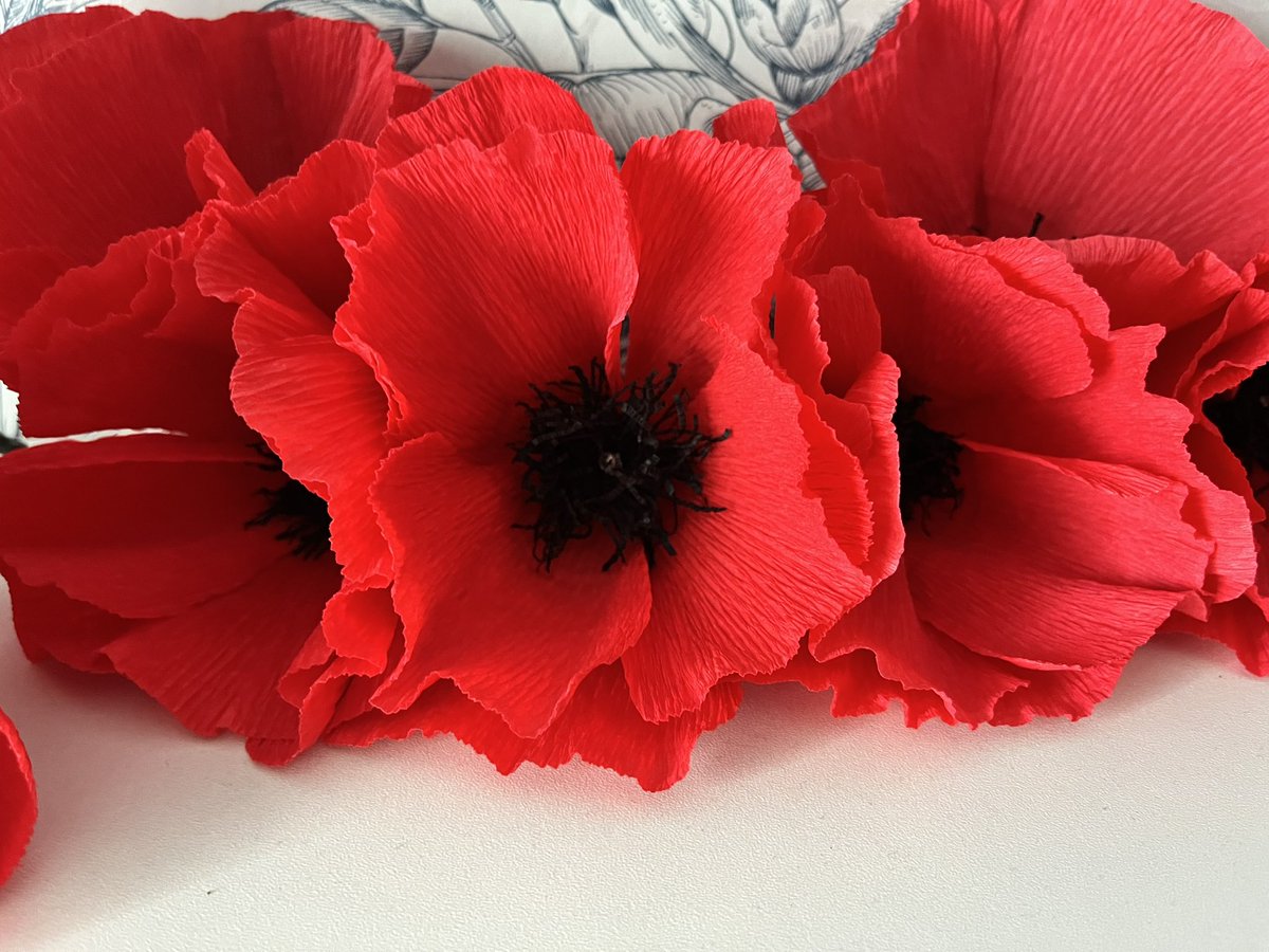 annagti93's tweet photo. Set of 10 Large Poppy LED Fairy Lights #handmadehour #handmadebyme #UKcrafthour #handmadenation #lestweforget #poppy #fairy #lights #love #handmade #flowers https://t.co/NB55k3HIEu