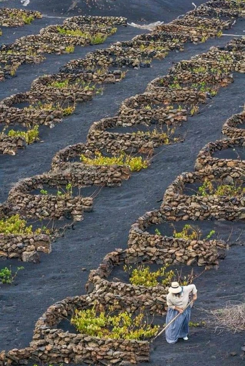 Empezando a estudiar sobre soluciones para la protección del suelo y aprovechamiento de la escorrentía en otros lugares del mundo y ¡OJO que en Canarias tenemos mucho que contar!