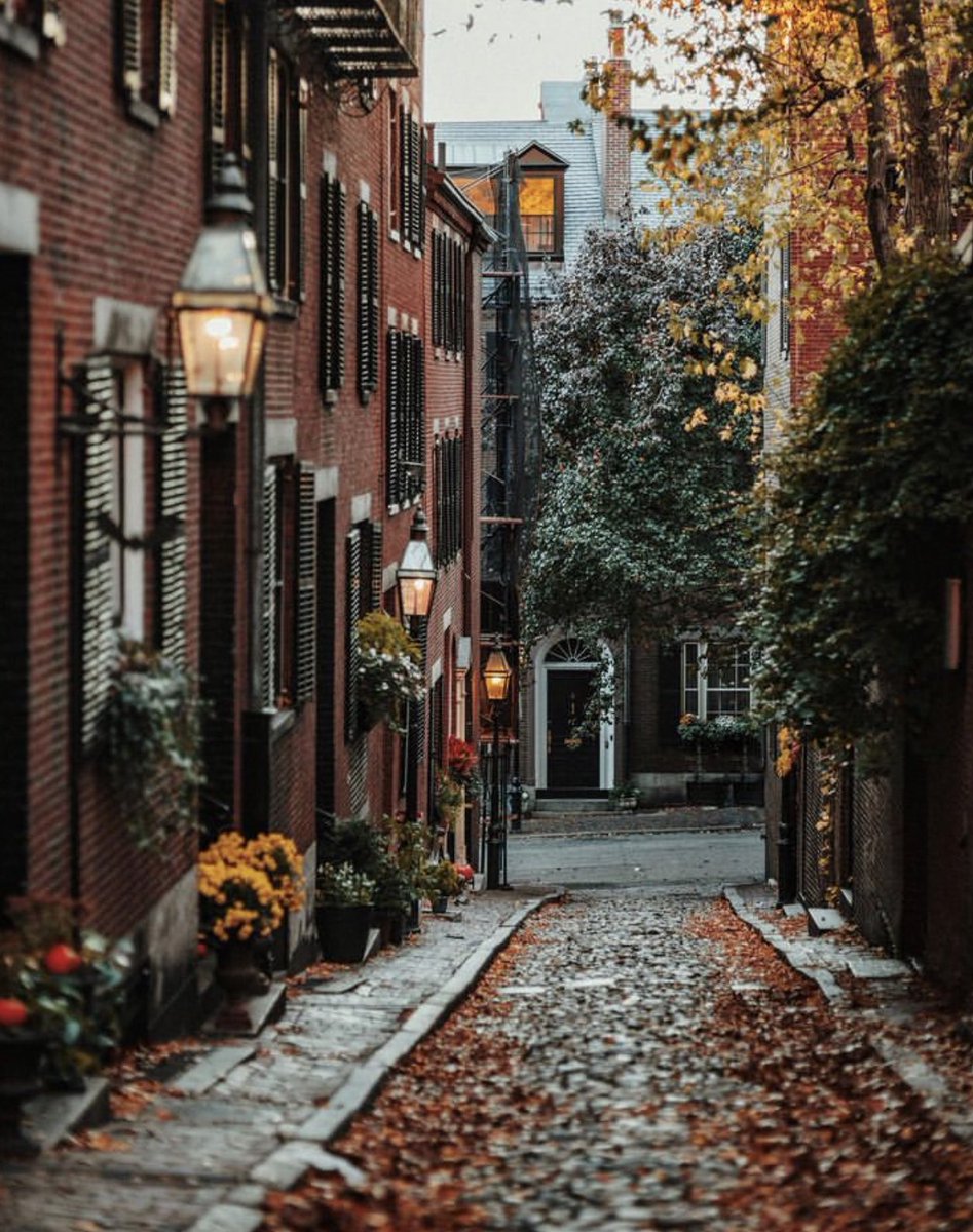 ValentyneDreams's tweet photo. Autumn in Boston. https://t.co/J2bZs2GgeQ
