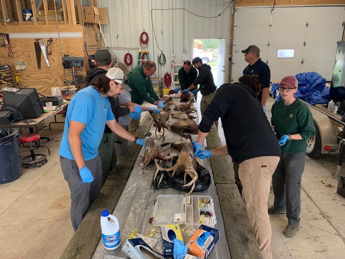 adamkjanke's tweet image. Dispatches from a very full and very fulfilling week in this #ExtensionLife

✅ CWD education 
✅ Land Stewardship Leadership Academy graduation &amp;amp; celebration 
✅ First ever statewide meet up of Master Conservationist Program grads. 
✅ Sleep (on Sunday)