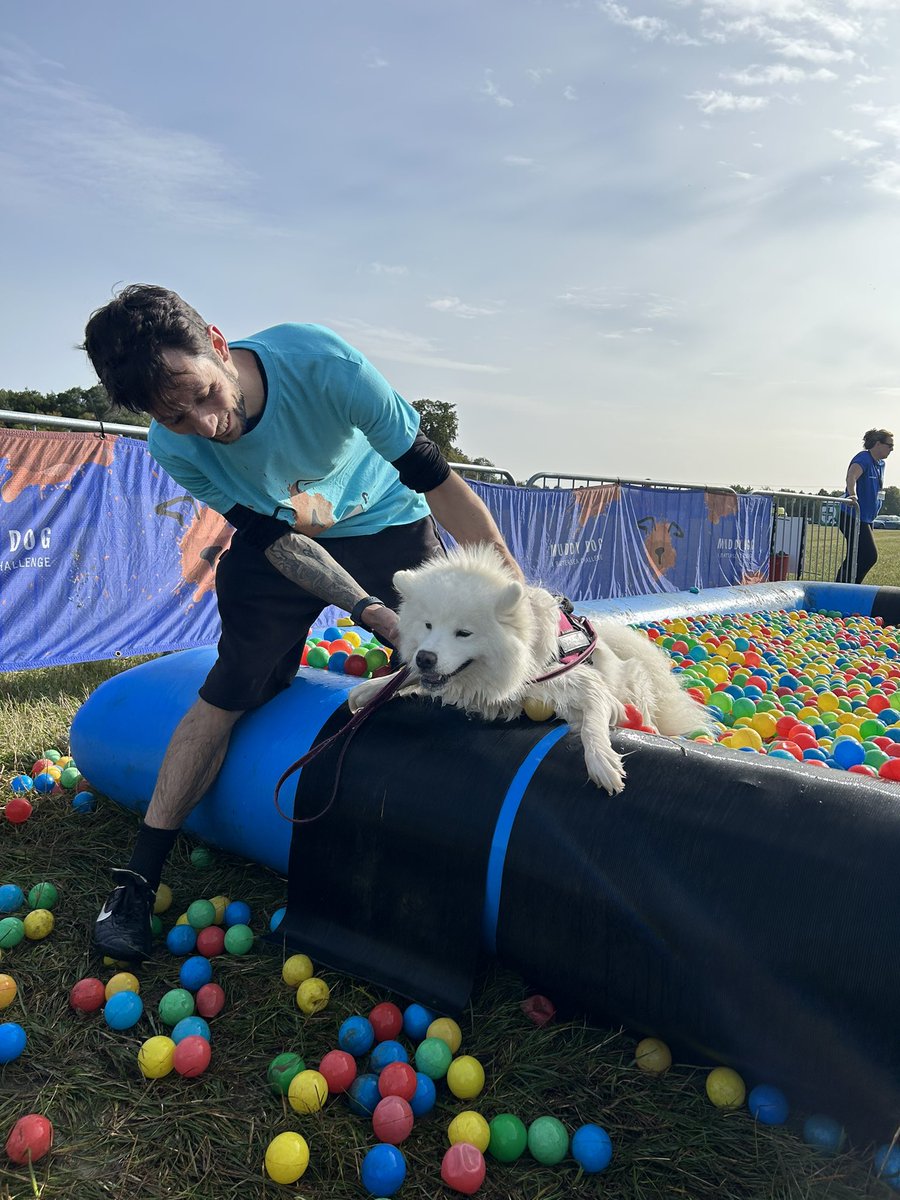 samoyed_ghost's tweet image. Competed the #MuddyDogChallenge y’all! @Battersea_ thank you for having me, mum and dad! We raised £243! 👏🐶🥰