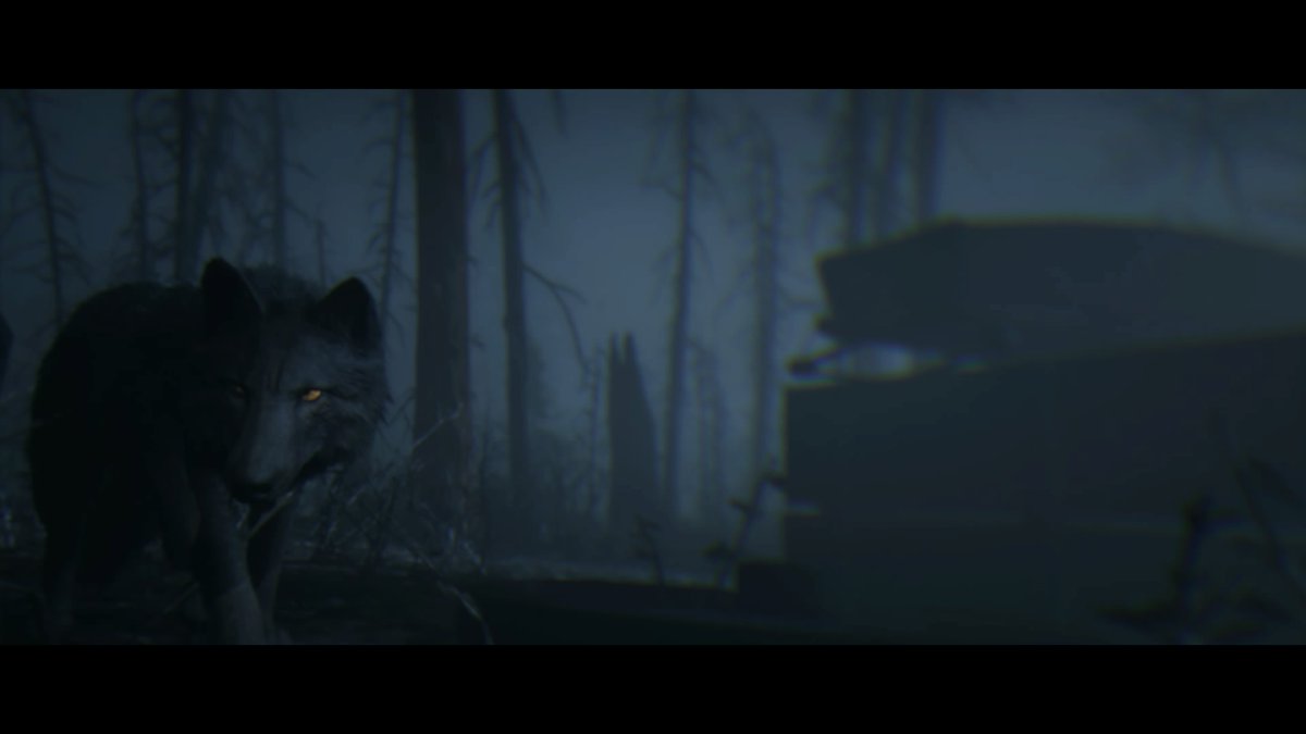 Der Hundefan alias Playa tweet media