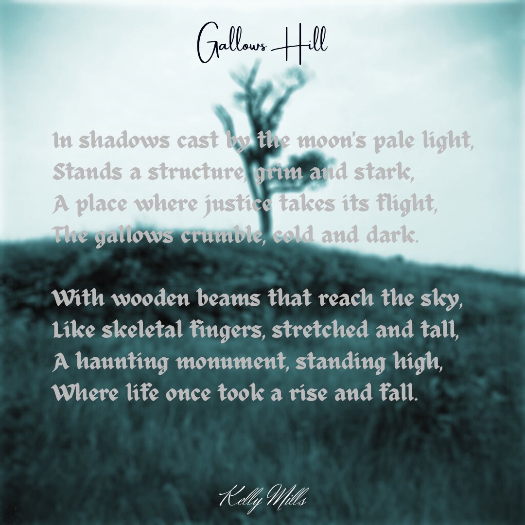 Kelly Mills tweet media