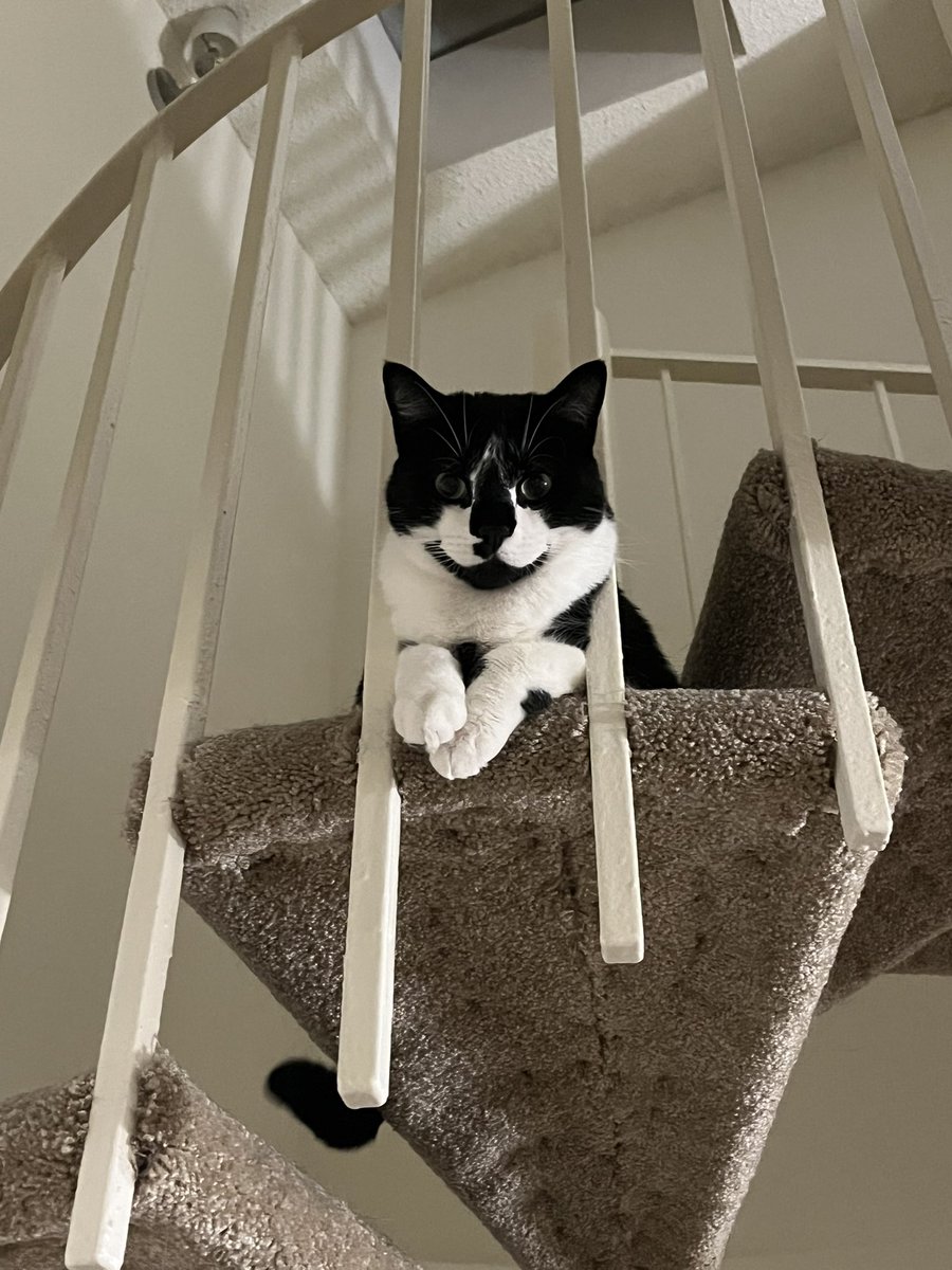 And don’t forget Inky Stinky.