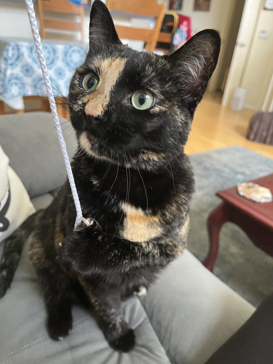 Oh, Autumn. Precious, precious bean. ❤️