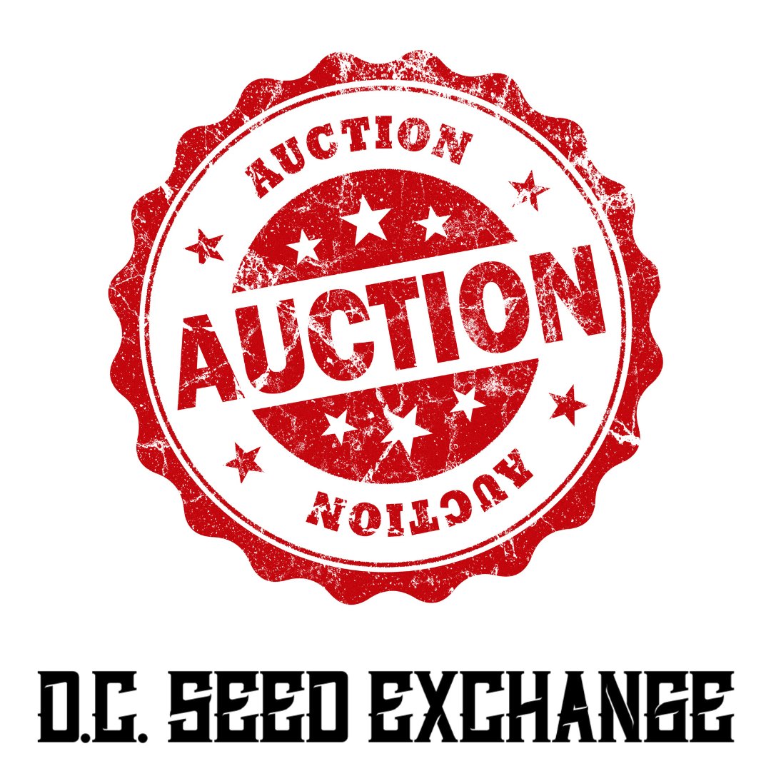 DCSeedExchange's tweet photo. Auctions are back! Don't miss out on your chance to get your hands on rare and exclusive strains at unbeatable prices: https://t.co/Dryr9AOdIn
#CannabisSeeds #Auctions #seedauction #dcseedexchange #mmjseeds #cannabisseeds #cannabiscommunity #seedbank https://t.co/Xr04WJljoI