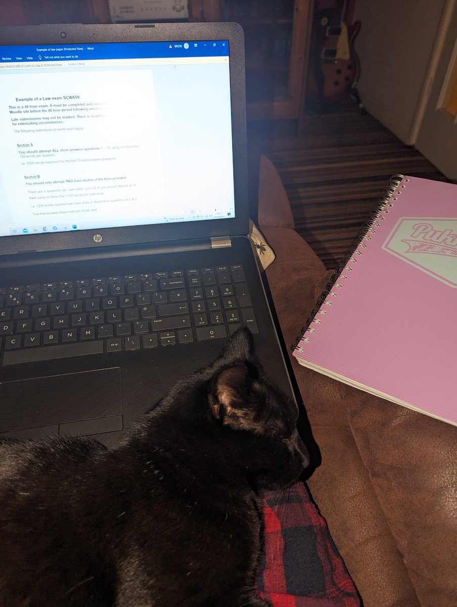 This is year 3. Evening studying with the boy to keep me company/get in the way 😈