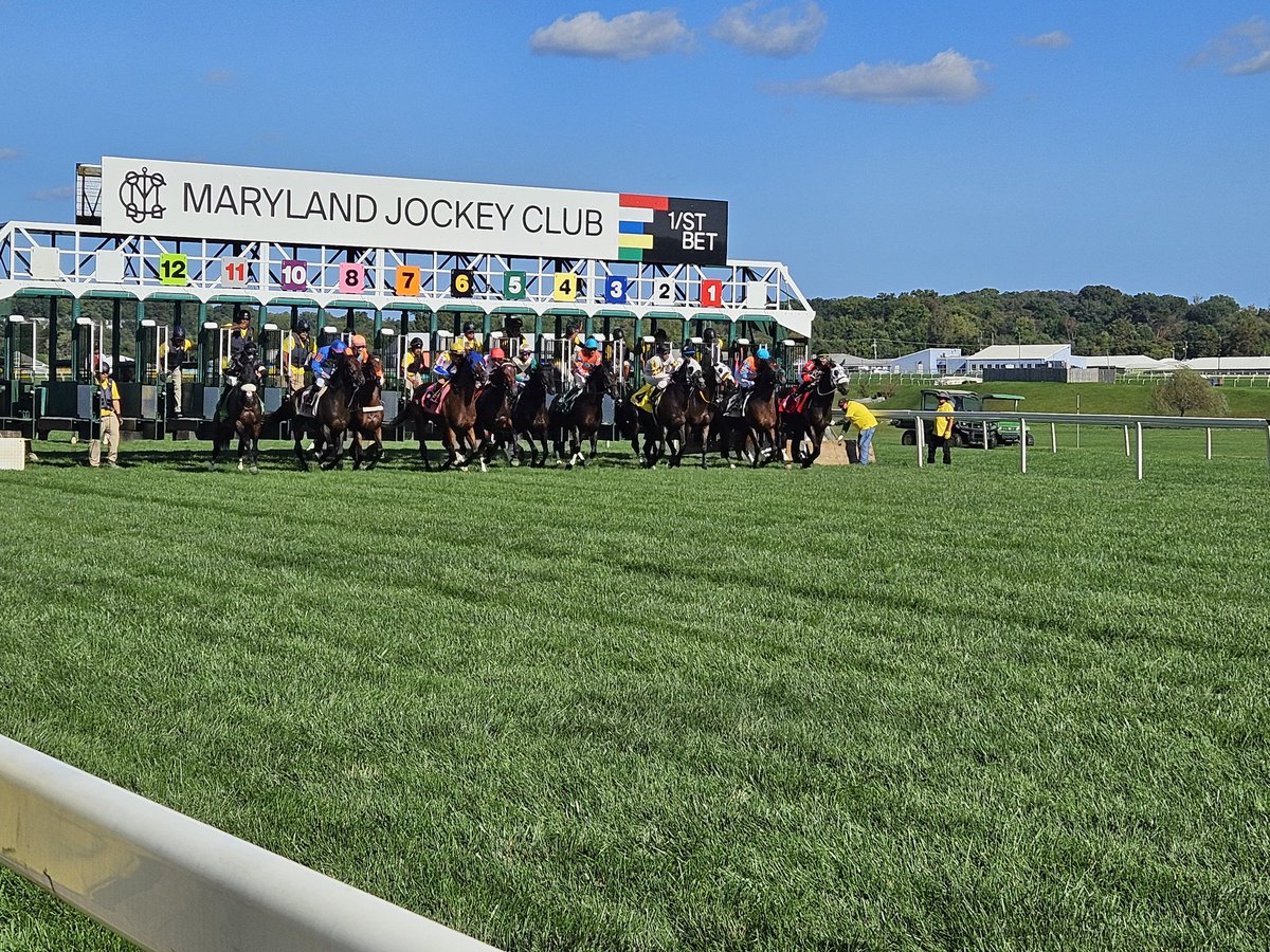 ThatsAmoreStabl's tweet photo. Away in R7 @LaurelPark https://t.co/kW3Ic5ic1F
