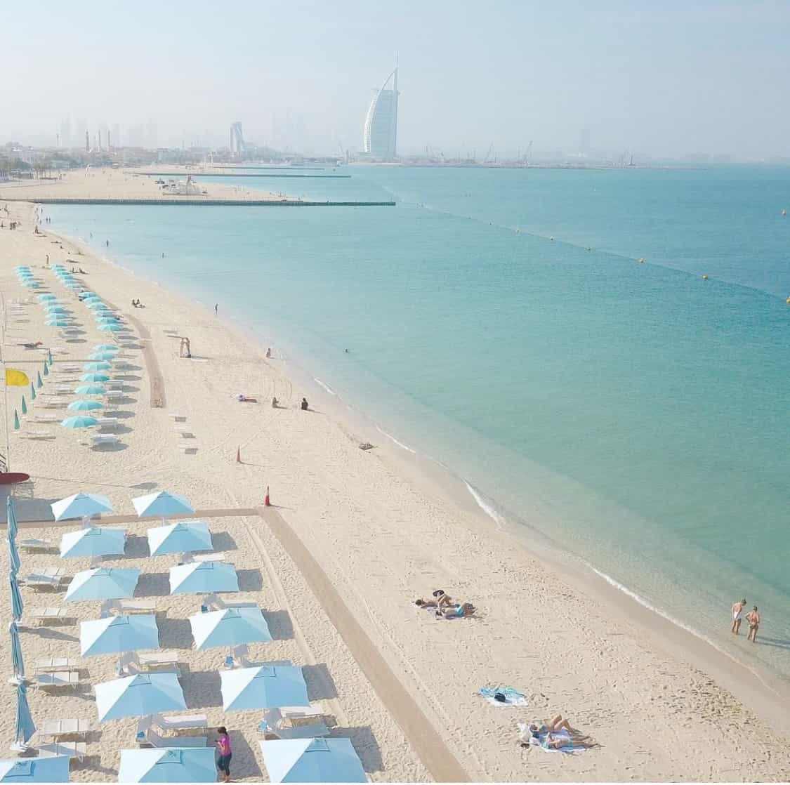 Matteo V. tweet media