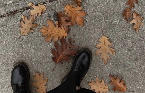 AcademiaDreams's tweet photo. 🍂☕ https://t.co/t1YVig9KD9
