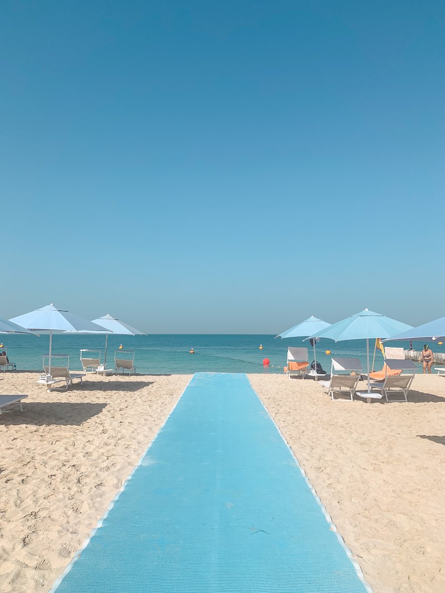 Matteo V. tweet media